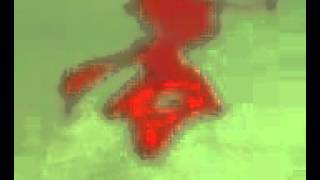 AUDIO TRACK "THE HUNT" (Album Version) by MICKEY HART / VIDEO by KAZCAP