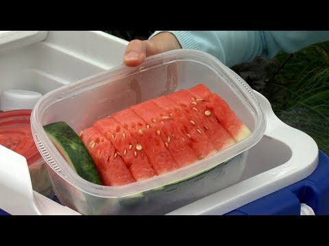 Mayo Clinic Minute - 4 tips for a safer picnic