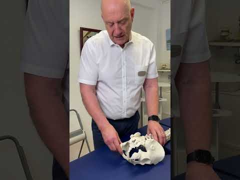 Har du ont i svanskotan? Det kan vara frustrerande! Här är varför och hur du kan lindra smärtan!