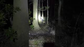 Download lagu NITECH'PR'CUTTERS SWITCHBLADE #Mojostyle mp3 Download lagu NITECH'PR'CUTTERS SWITCHBLADE #Mojostyle mp3