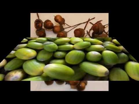 Iech & die anger tswei - D'r eikel