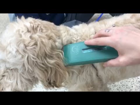 How to: Check a microchip