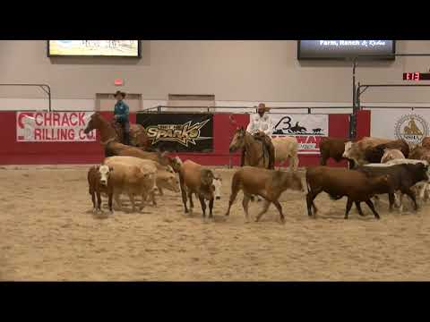 SJR Diamonds Justify shown by Matt J. Koch - 2021 NSHA Futurity (Open Futurity, Herd)
