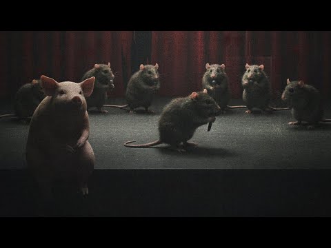 CHAKI 2 (Prod. by Radpro)