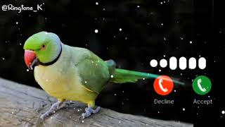 Download lagu Mobile phone ringtone ||Notification Ringtone || SMS Ringtone || Message Ringtone || SMS Sound mp3