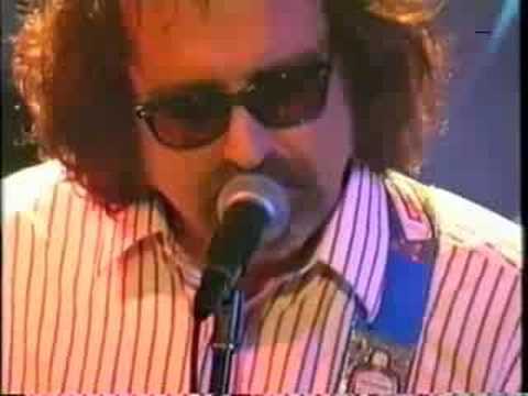 Dancing In The Moonlight - Young Fresh Fellows