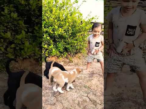 Dhriti ne dogs ko biscuit khilaya😅cute dogs #dog #doglover #shorts #trending