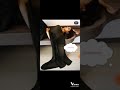 Mallu Actress Nikitha Hot Saree Video Latest