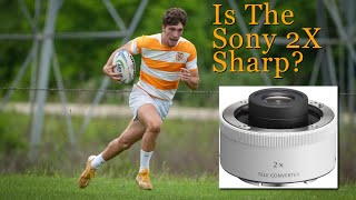 Video thumbnail for Is the Sony 2X Teleconverter Sharp?  On the 300mm f/2.8GM, It Screams! by PM-R TV