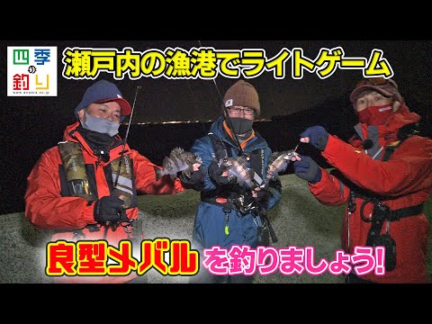 瀬戸内の漁港でライトゲーム 良型メバルを釣りましょう!(四季の釣り/2022年3月4日放送)