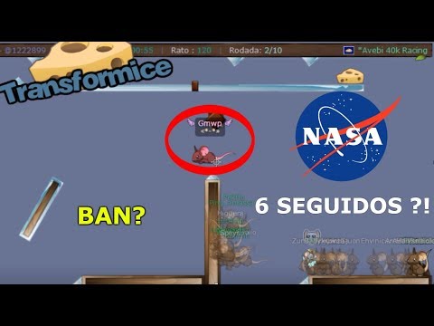 6 FIRSTS SEGUIDOS +120/140 MICE [BAN] | TRANSFORMICE