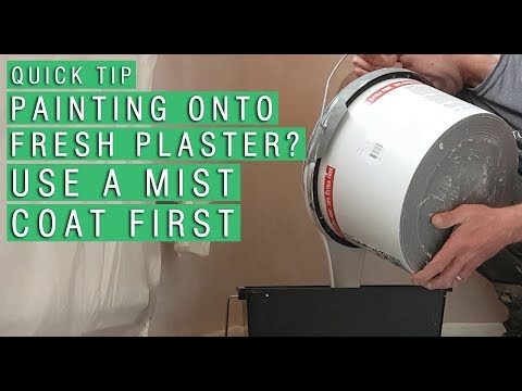 QUICK TIP – Painting on Fresh Plaster? Use a Mist Coat