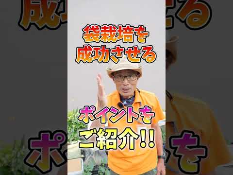 カルチャーテーブル