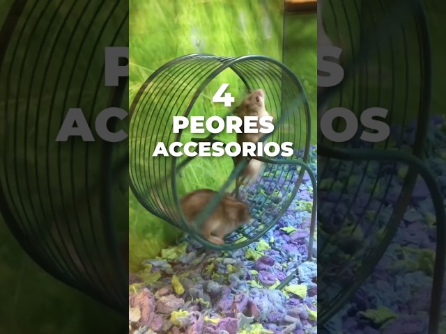 Vídeo relacionado con 9 Piezas Pequeños Animales Bola para Masticar, Juguetes para Masticar Conejos,Mascotas Bolas de Limpieza de Dientes,Masticación Mascota Juguete para Conejos Enanos, Hámster, Ratas, Chinchillas