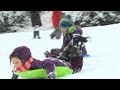 Sled free or die rallying call in snowy Washington.