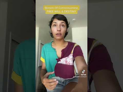 Stream Of Consciousness - Free Will, Destiny & The Illusion of Time