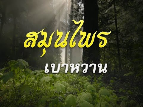 Neurodermatitis ในการวินิจฉัยเด็ก ที่ช่วยรักษาโรคสะเก็ดเงิน