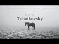 Best Of Tchaikovsky Classical Music Gems