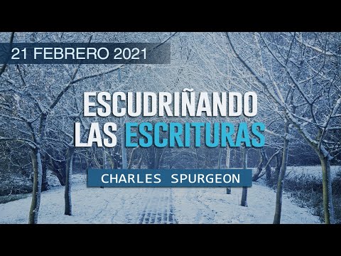 Today's Devotional | Daily Christian Devotionals | Charles Spurgeon in Spanish