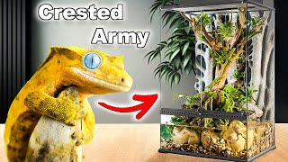 Download lagu My Geckos Won’t STOP Making babies!! mp3 Download lagu My Geckos Won’t STOP Making babies!! mp3