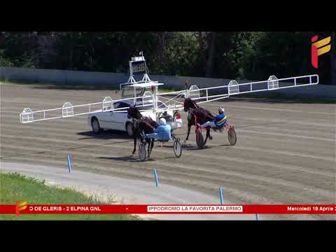 Prova di Qualifica del 19 aprile 2023 - 3 Anni - Metri 1600