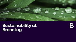 Sustainability at Brenntag