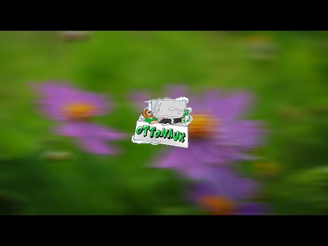 [FREE] Ottonaux - "shutup" | Blümchen Type Beat