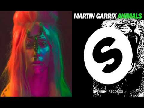Martin Garrix VS Lady Gaga - Animals of Venus (Mashup)