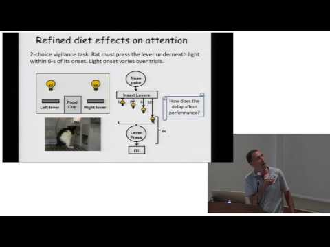 AHS16 - Aaron Blaisdell - Diet and Cognition