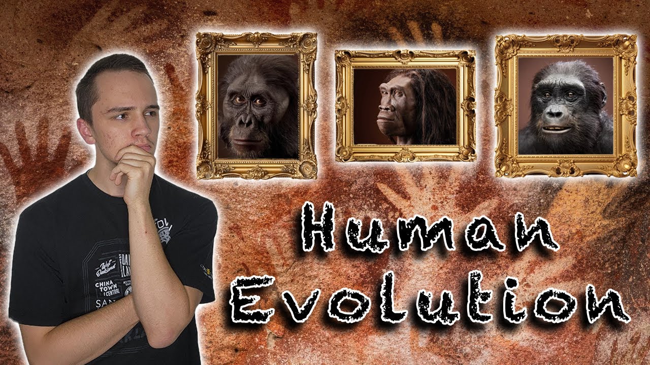 Human Evolution is Weird