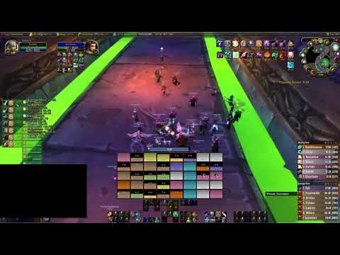 WoW Classic Naxx Holy Paladin POV