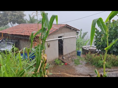 Depois das chuvas ⛈️ fiz uma lasanha aqui na minha casinha simples em Mogeiro PB 🙏🇧🇷