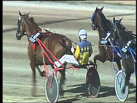 Trotto 17/09/2015 - 4° corsa