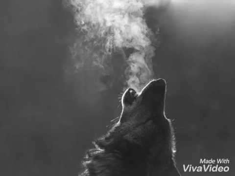 Не давай руки ✔♚