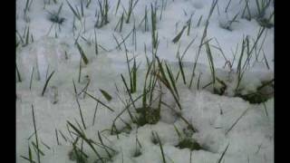 don`t let your shoes drag you down