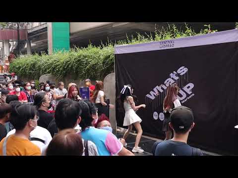 ทาสแมว - CMJ Trainee @Aidoru Matsuri #3 What's Up Market Central Lardpao