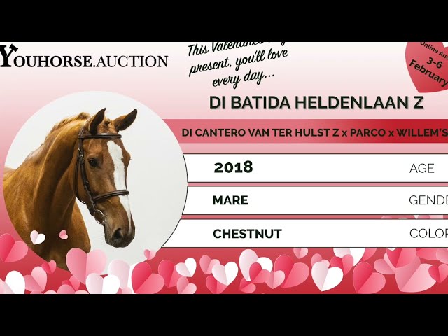Di Batida Heldenlaan Z @ the show