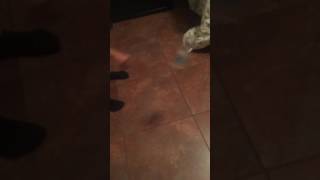 Water bottle flip Challenge