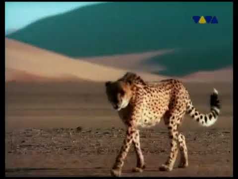 Emmanuel Top - Acid Phase (Kai Tracid Remix) (Official Video) (2002)