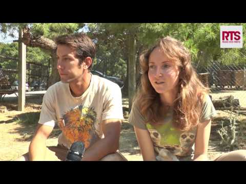 Un bébé Springbok nourri au biberon à la Réserve Africaine de Sigean by RTS 