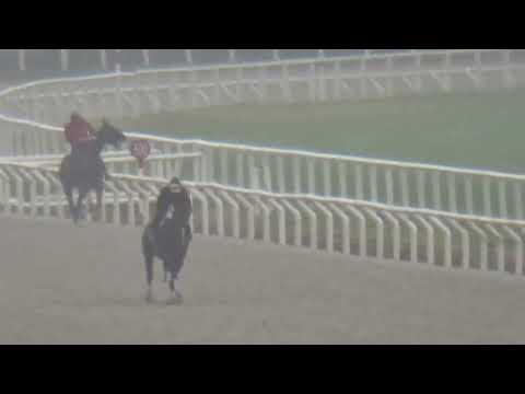 MAPA MUNDI(Brz)-REVISTA INVASOR