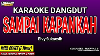 Download lagu SAMPAI KAPANKAH KARAOKE DANGDUT - ELVY SUKAESIH mp3