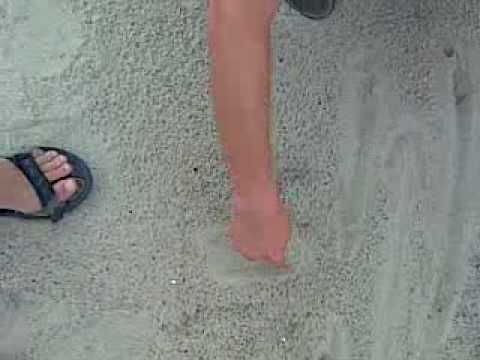 Świniary sierpień 2010