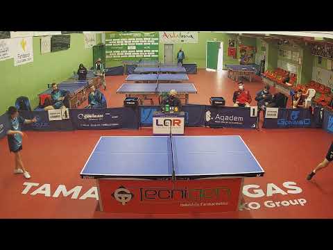 División de Honor masculina Aqadem Linares - CTM Vegas del Genil