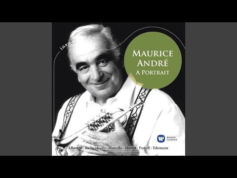 Oboe Concerto in D Minor, S. Z799: I. Allegro moderato (Arr. Jevtic for Trumpet and Orchestra)