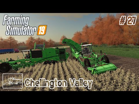 Big harvest of potatoes of our farm | Chellington Valley Seasons # 27 | FS19 TimeLapse