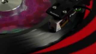 Red Hot Chili Peppers - The Sunset Sleeps Vinyl