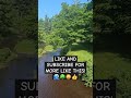 Stay Tuned For More Nature Likeandsubscribe Supportmychannel Subscribe Staytuned