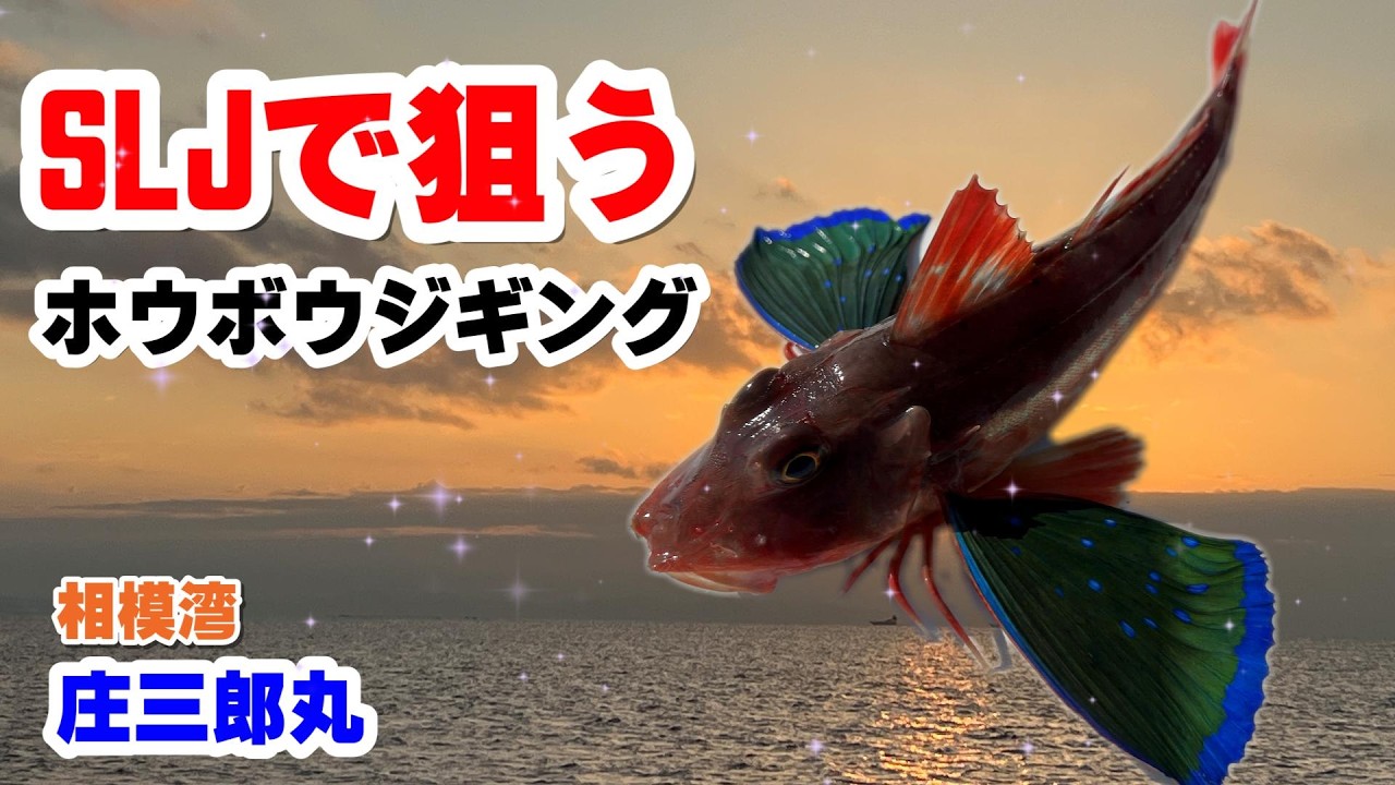 【庄三郎丸】SLJで狙う　ホウボウジギング　相模湾