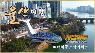 [울산여행] 개장박두 Opening Soon! 태화루 스카이워크 / 울산 중구 / Ulsan Korea